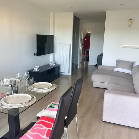3 Pieces Climatise Proche Et Piscine Appartement *