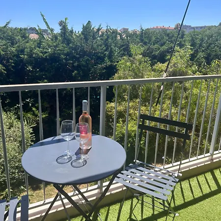 3 Pieces Climatise Proche Et Piscine Antibes